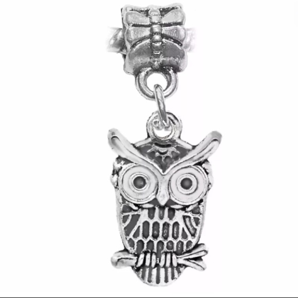 Silver Lucky Owl Dangle Charm